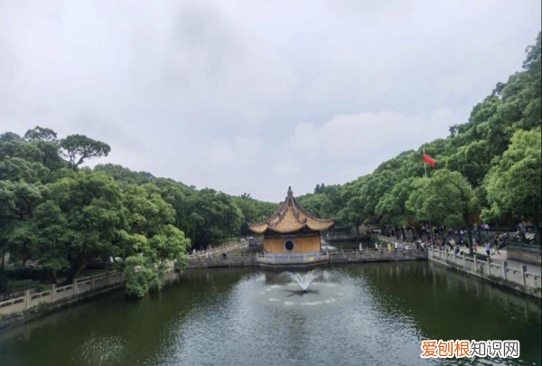 去普陀山码头坐船最后是几点，舟山朱家尖到普陀山坐船要多久