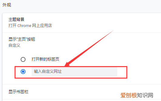咋进行设置谷歌浏览器的主页
