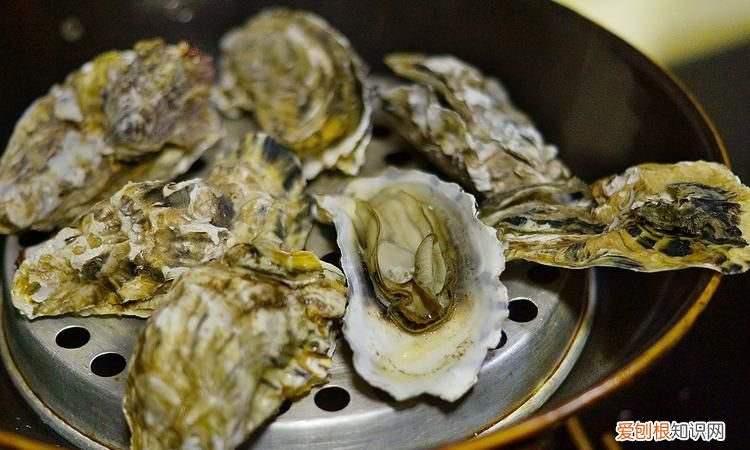 清蒸海蛎子蒸多久，生蚝能用水煮开清水煮生蚝等水开煮多久