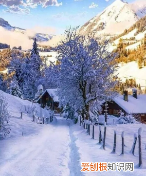 一季度几个月一年几个季度