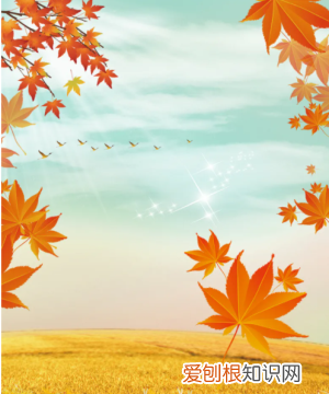 一季度几个月一年几个季度