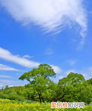 一季度几个月一年几个季度