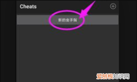 口袋妖怪金手指怎么用，口袋妖怪银金手指怎么使用