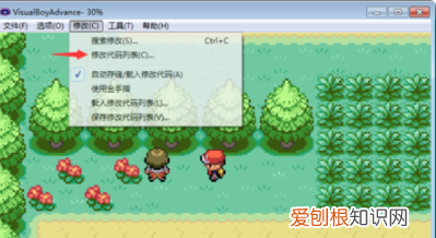 口袋妖怪金手指怎么用，口袋妖怪银金手指怎么使用