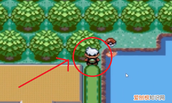 口袋妖怪金手指怎么用,口袋妖怪银金手指怎么使用