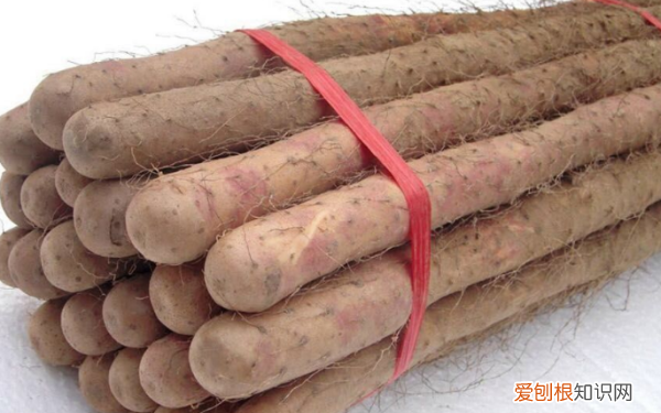 和山药很像的叫什么，和淮山长得相似的植物叫什么名字