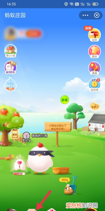 蚂蚁庄园今日答案，在蚂蚁庄园要咋领饲料