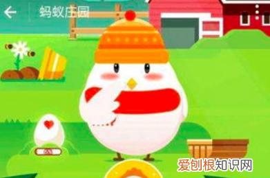 蚂蚁庄园今日答案，在蚂蚁庄园要咋领饲料