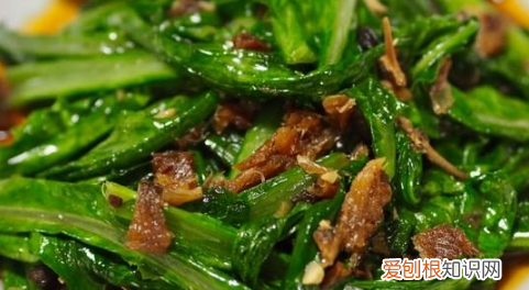 油麦菜和莴笋的区别，油麦菜和莴笋的区别是什么