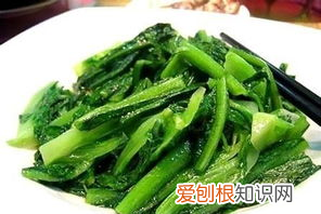 油麦菜和莴笋的区别，油麦菜和莴笋的区别是什么