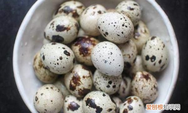 鹌鹑蛋要煮多久熟，鹌鹑蛋要煮多久才会熟