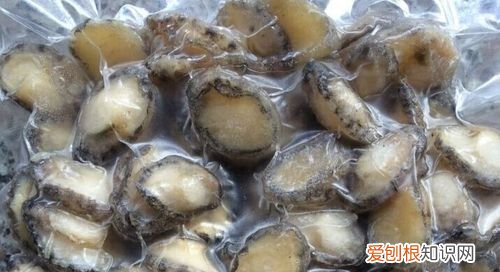 鲍鱼放冷冻还是冷藏，干鲍鱼泡发后冷冻还是冷藏