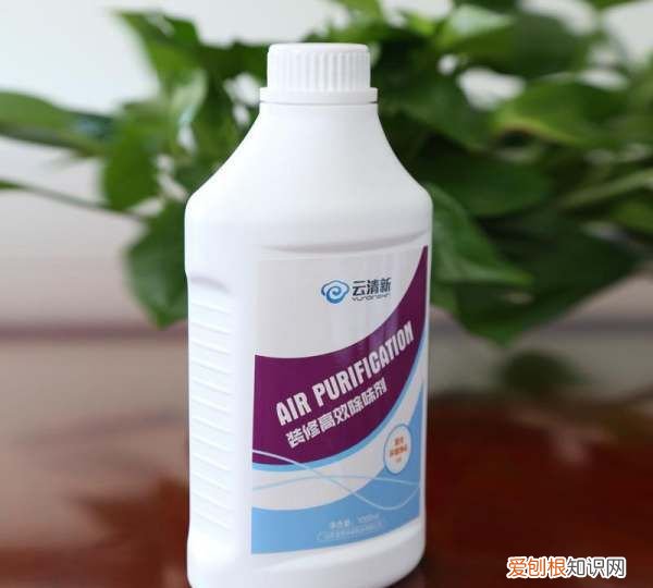 房间装修味道大 如何除味