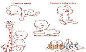 青菜粥用什么青菜好,宝宝辅食青菜是什么菜适合给多大的宝宝吃