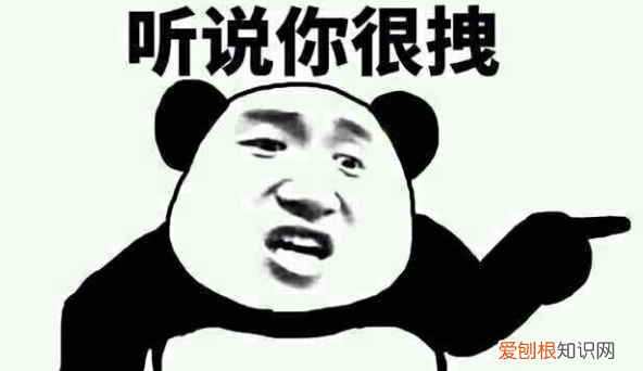 拽拽是什么意思，拽拽的蚂蚁网名是什么意思啊