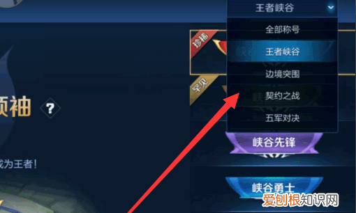 王者荣耀怎么更改局内称号,王者局内称号在哪里设置的