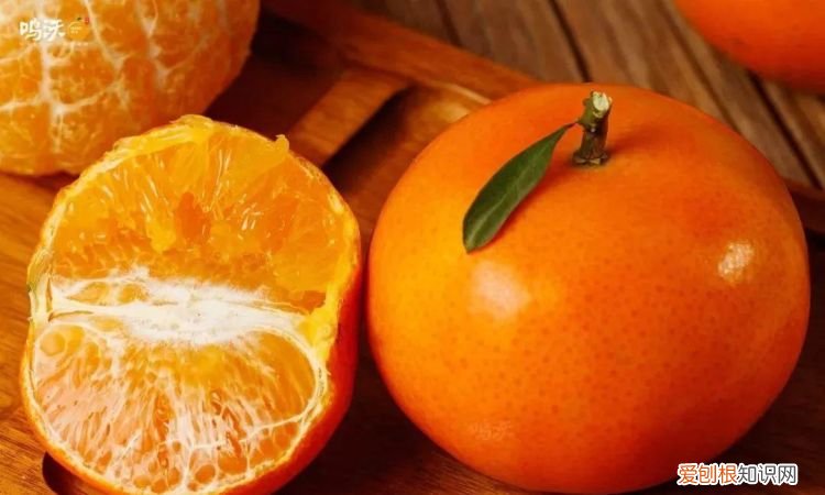 沃柑有酒味什么情况,沃柑中果和大果有什么区别