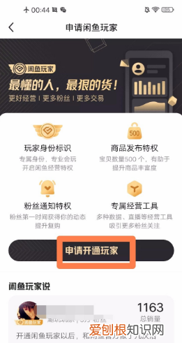 怎么申请闲鱼玩家，闲鱼玩家怎么认证比较好通过