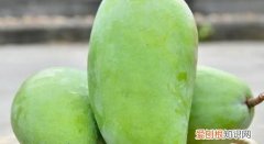 怎么判断青芒熟没熟，如何判断芒果是生的还是熟的