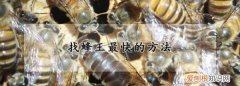怎么换蜂王，找蜂王最快的方法