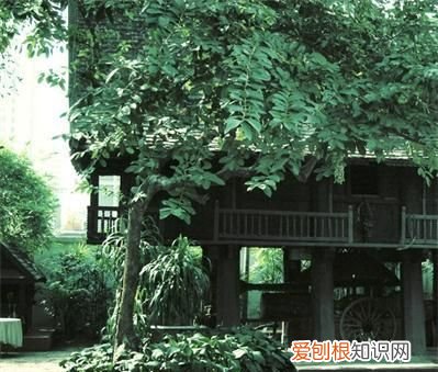 暹罗泰国一个多面的国家,你了解吗英文