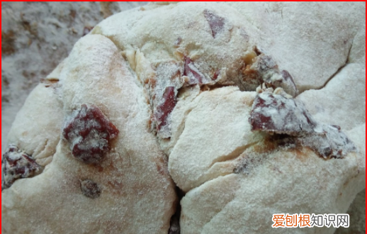 简单的枣馒头的具体做法,红枣葡萄干馒头的做法窍门
