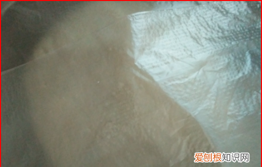 简单的枣馒头的具体做法,红枣葡萄干馒头的做法窍门