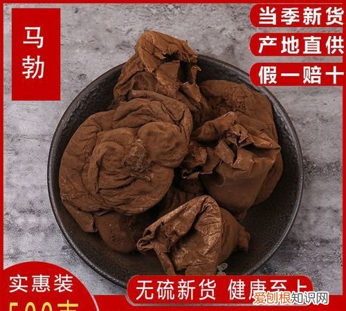 马屁菇能吃吗，可以吃的马粪包长什么样子
