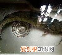 江团鱼的做法,江团鱼怎么做好吃 家常做法