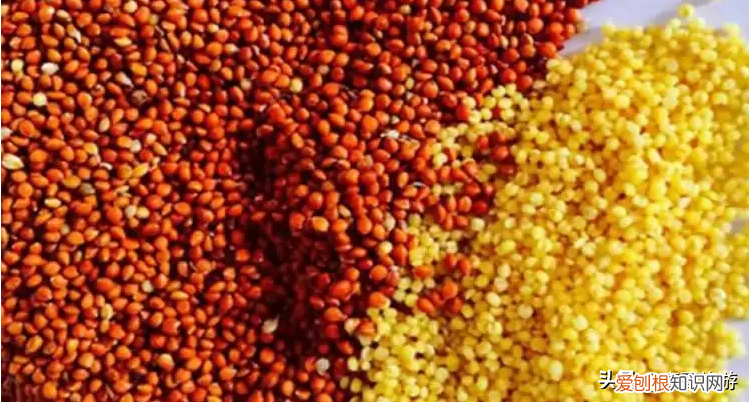 山西土特产排行榜前十名