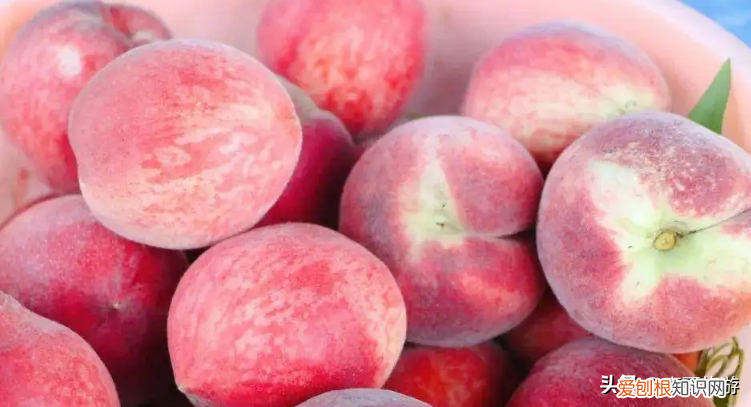 山西土特产排行榜前十名