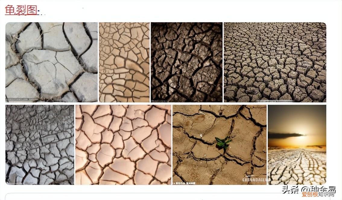 裂的组词和部首