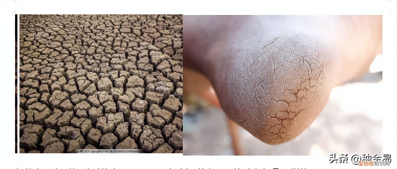 裂的组词和部首