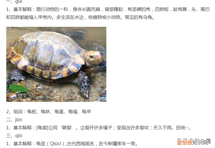 裂的组词和部首