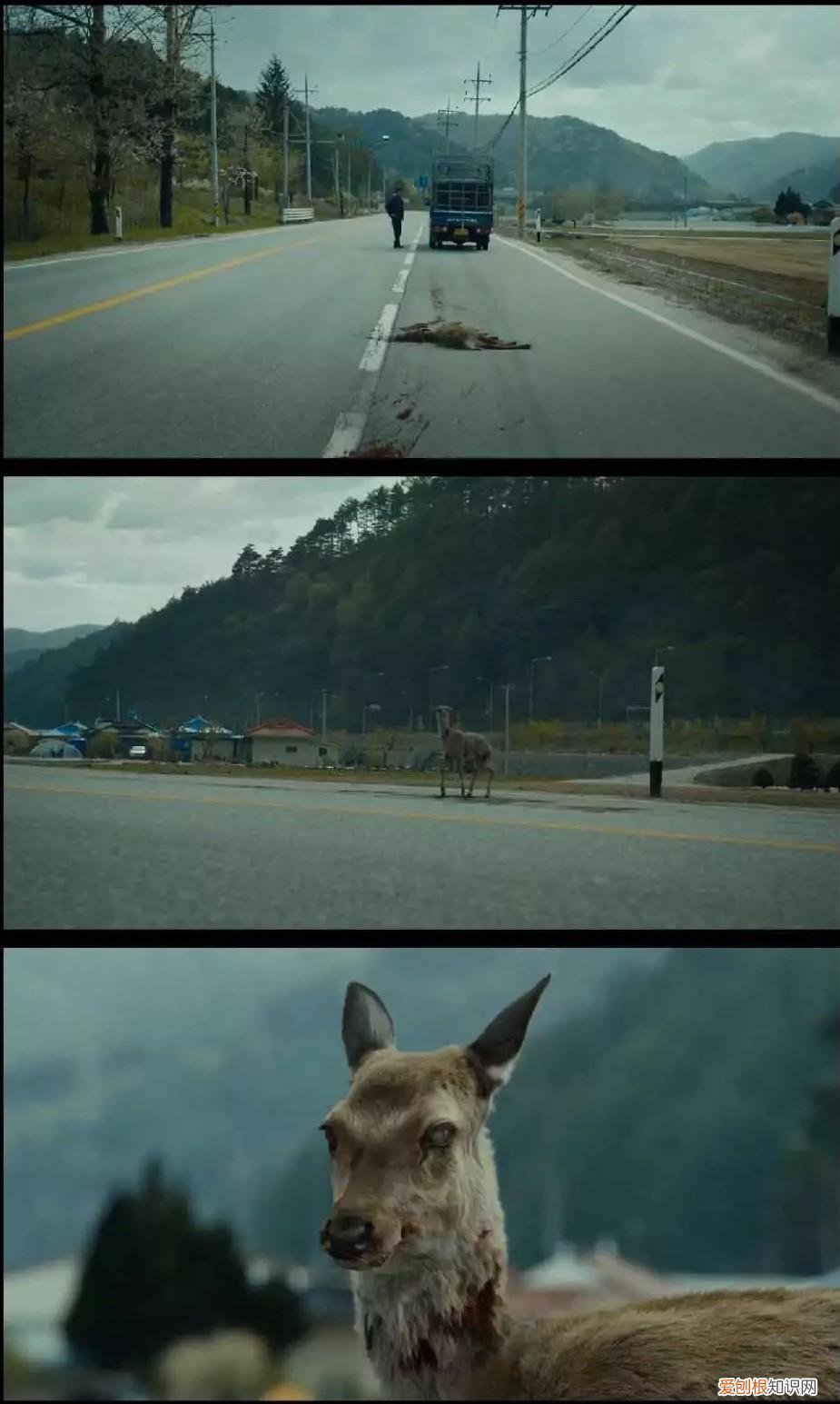 釜山行影评人性解读