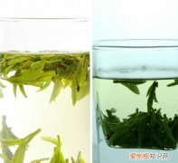 龙井茶泡法，用茶壶泡龙井茶的泡法