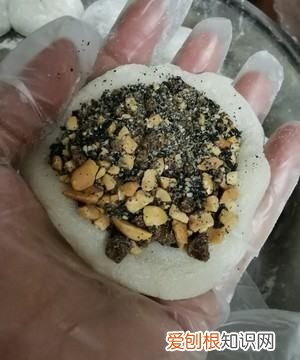 怎么做糯米粑粑，糯米糍粑的做法 家常