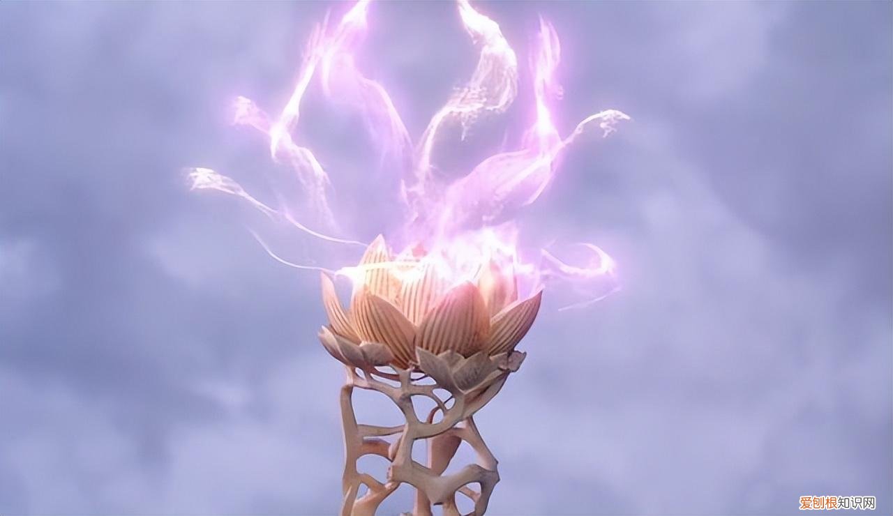 沉香怎么辨别好坏