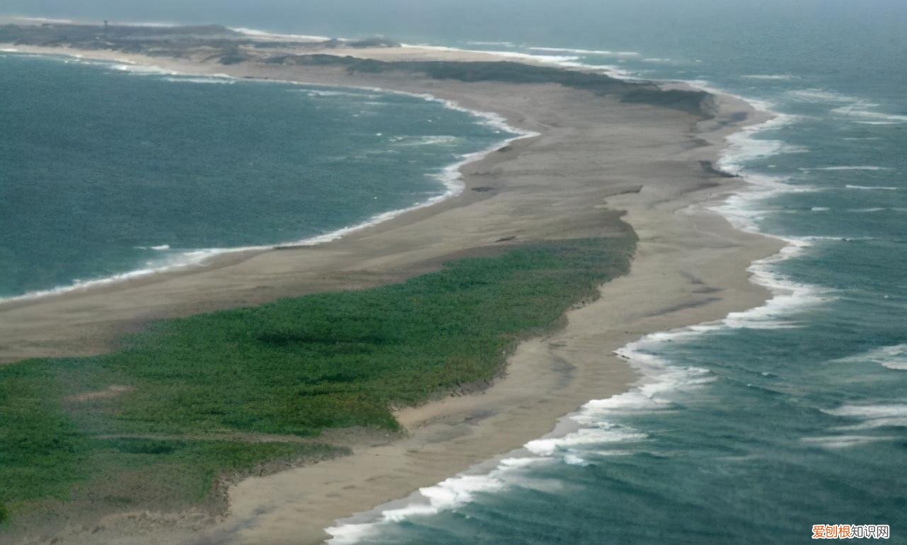 黑貂之裘弊黄金百斤尽资用乏绝去秦而归的翻译