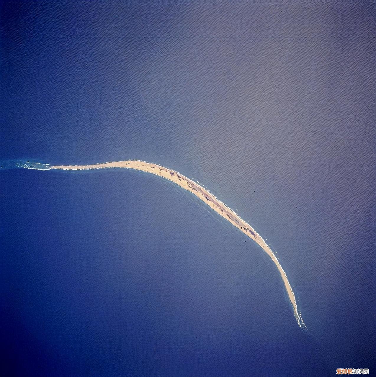 黑貂之裘弊黄金百斤尽资用乏绝去秦而归的翻译