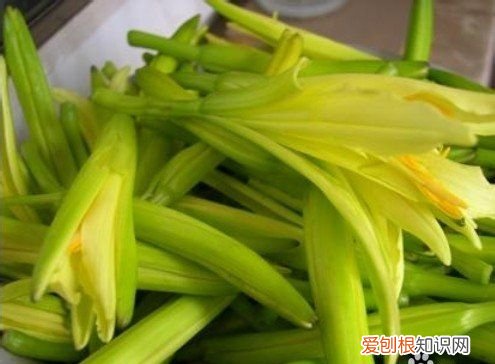 猪肉馅饺子放什么菜好吃