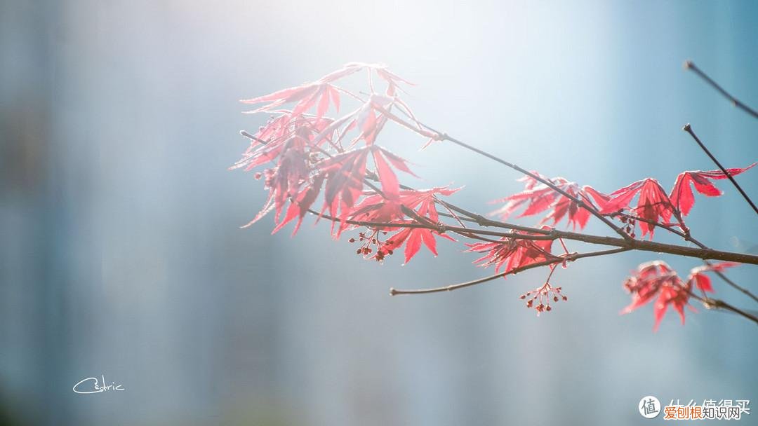 宾得k30和k50哪个好