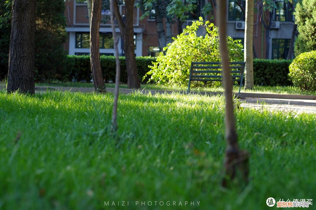 宾得k30和k50哪个好