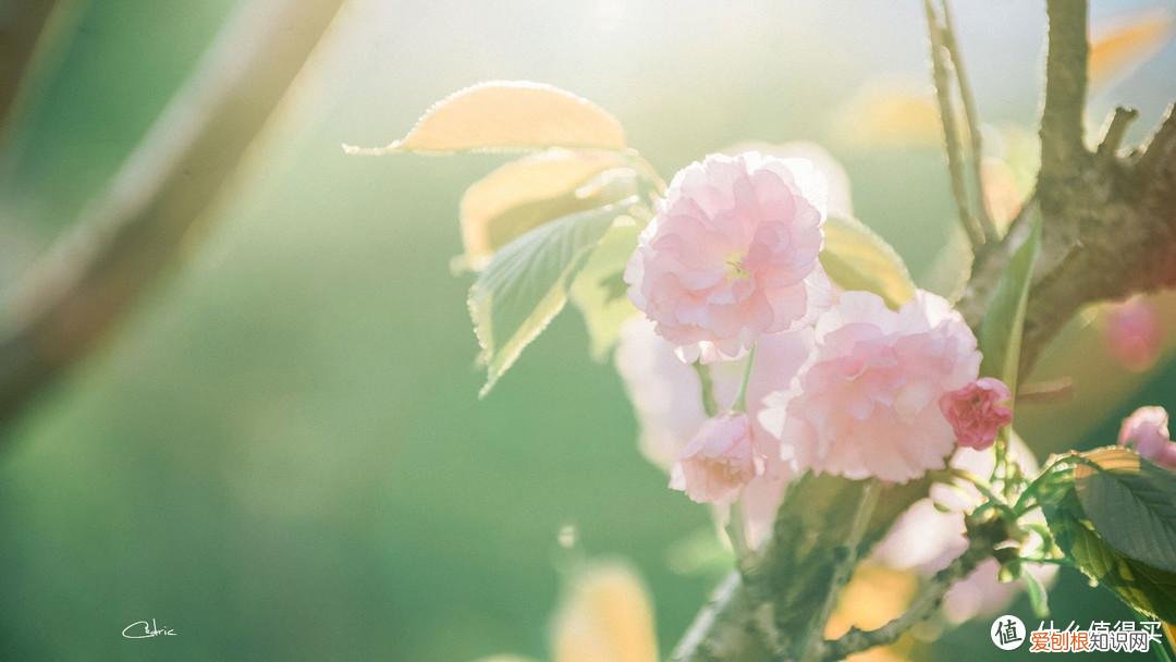 宾得k30和k50哪个好