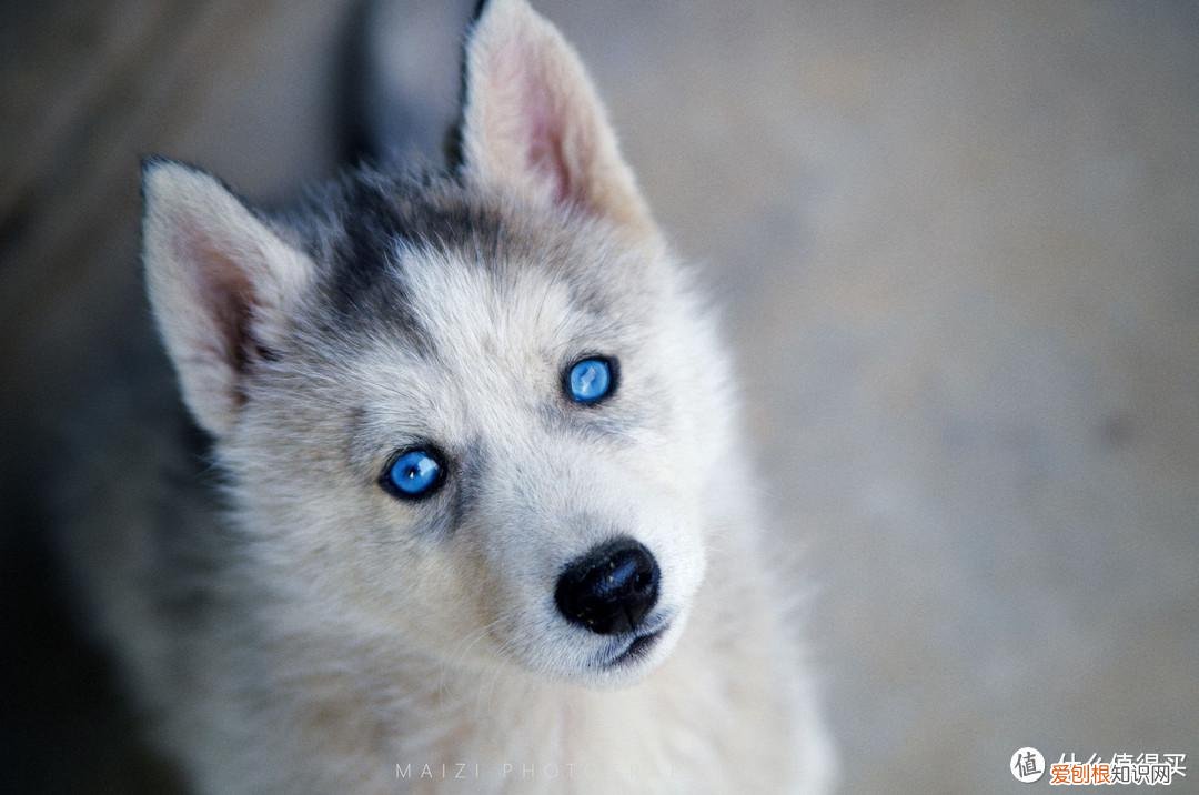 宾得k30和k50哪个好