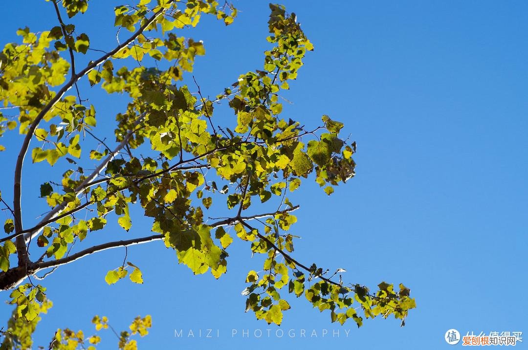 宾得k30和k50哪个好