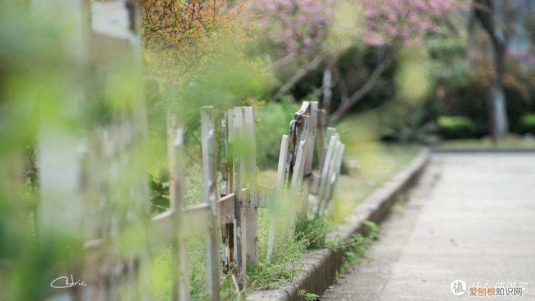 宾得k30和k50哪个好