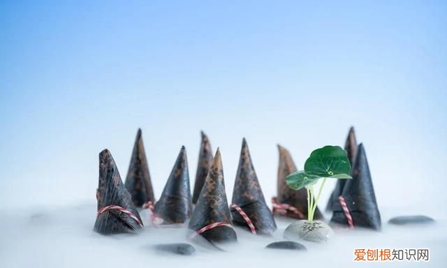 粽子吃不完放冰箱可以保存很久吗