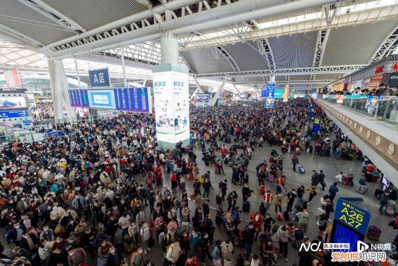 广州南站在哪里