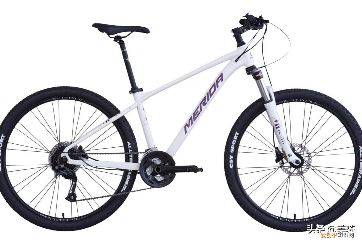 五款女性入门运动自行车推荐